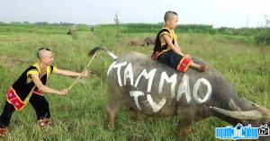 Ảnh Nhóm hài Tam Mao