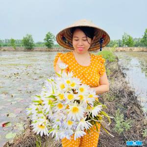 Ảnh Tik Toker Kênh Của Mỹ