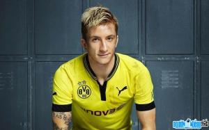 Ảnh Cầu thủ Marco Reus