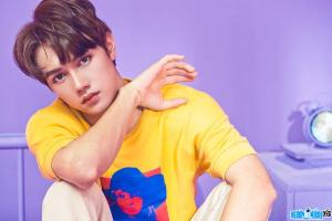 Ảnh Hiện tượng mạng Jsol